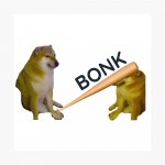 bonk.jpg