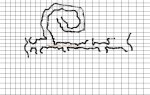 Spiral_1_a.JPG