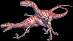 deinonychus.jpg