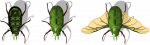 scarab-fighting-vehicle.png