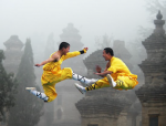 Attack highjump kick kungfu duo.png
