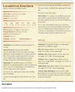 lizardfolksorceror.jpg