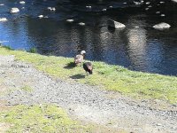 IMG_20220918_135041.jpg