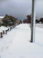 IMG_20221006_093151.jpg