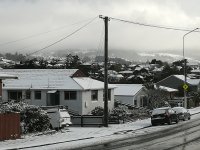 IMG_20221006_093312.jpg