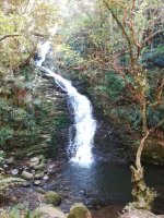 IMG_20221023_120026.jpg
