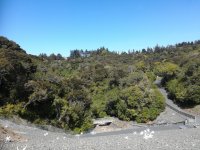 IMG_20221023_122630.jpg