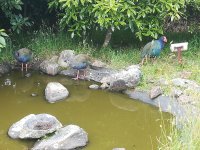 IMG_20230101_095342.jpg