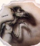 diakk-carcene.jpg