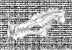 dragonface-profile-skull.gif