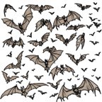 swarm_bat.jpg