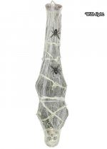 26021-spider-skeleton.jpg 26021-spider-skeleton.jpg