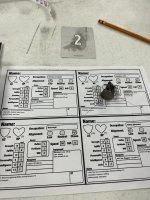 IMG_7428.jpeg