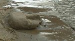 sand%20face%20256.jpg