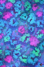Fairy-Forest-Gridded-22x33-MapPublic.jpg