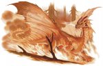 Orange_Dragon.jpg