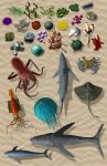 coral-reef-test.jpg