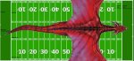 endzone.JPG