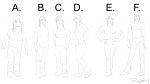 height_proportions.jpg