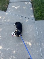 IMG_8375.jpeg