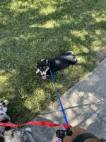 IMG_8377.jpeg
