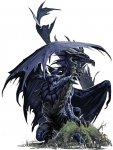 PZO1001-BlackDragon.jpg