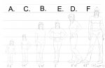 height_proportions_answer.jpg