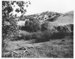 ChauzuPhoto26.jpg