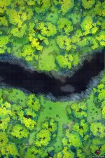 Forest-Chasm-Gridded-22x33-MapPublic.jpg