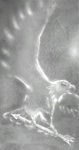 eagle-big.jpg