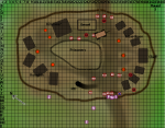 LizardCamp.png