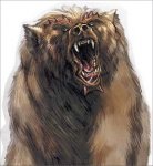 dire bear.jpg