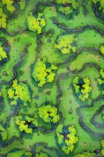 Forest-Wilderness-Vol6-Gridded-22x33-MapPublic.jpg