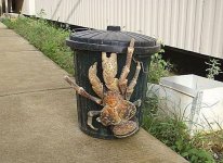 coconut crab.jpg