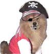 pdoggy2.jpg