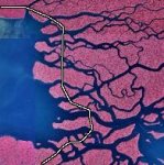 everglades2b.jpg