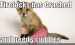 funny-pictures-your-firefox-needs-cuddles.jpg