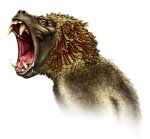 120PM_Baboon.jpg