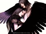 wrapmywings1200.jpg