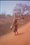 womancarrytree.jpg