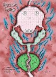 enwbs11_DigestiveSystem.jpg