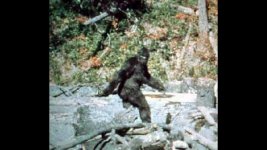 bigfoot.jpg