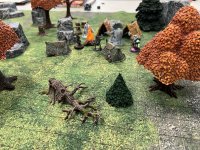 IMG_0040.jpeg