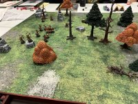 IMG_0045.jpeg