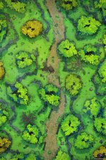 Forest-Path-Vol7-Gridded-26x39-MapPublic2.jpg