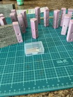 IMG_8957.jpeg