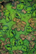 Forest-Wilderness-Vol7-Gridded-26x39-MapPublic.jpg
