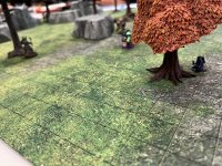 IMG_0232.jpeg