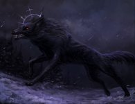 dr-sep-blackdog4.jpg