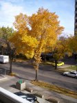000_0021.jpg